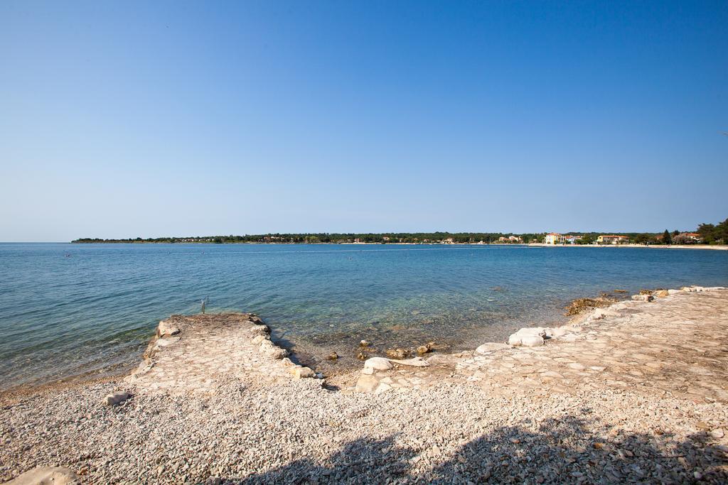 Daila Apartments Novigrad Istria Exteriör bild